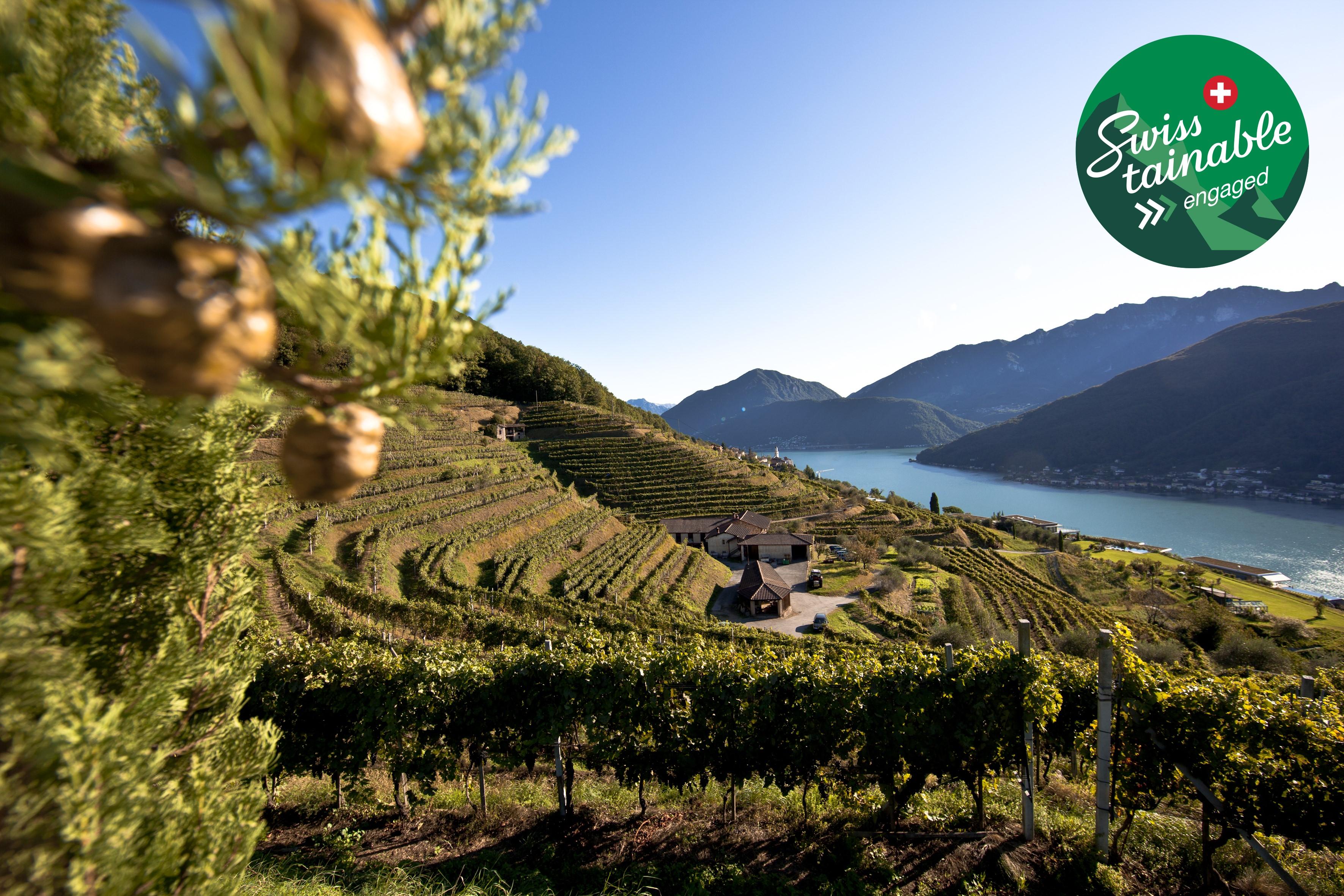 Image 0 - Swisstainable