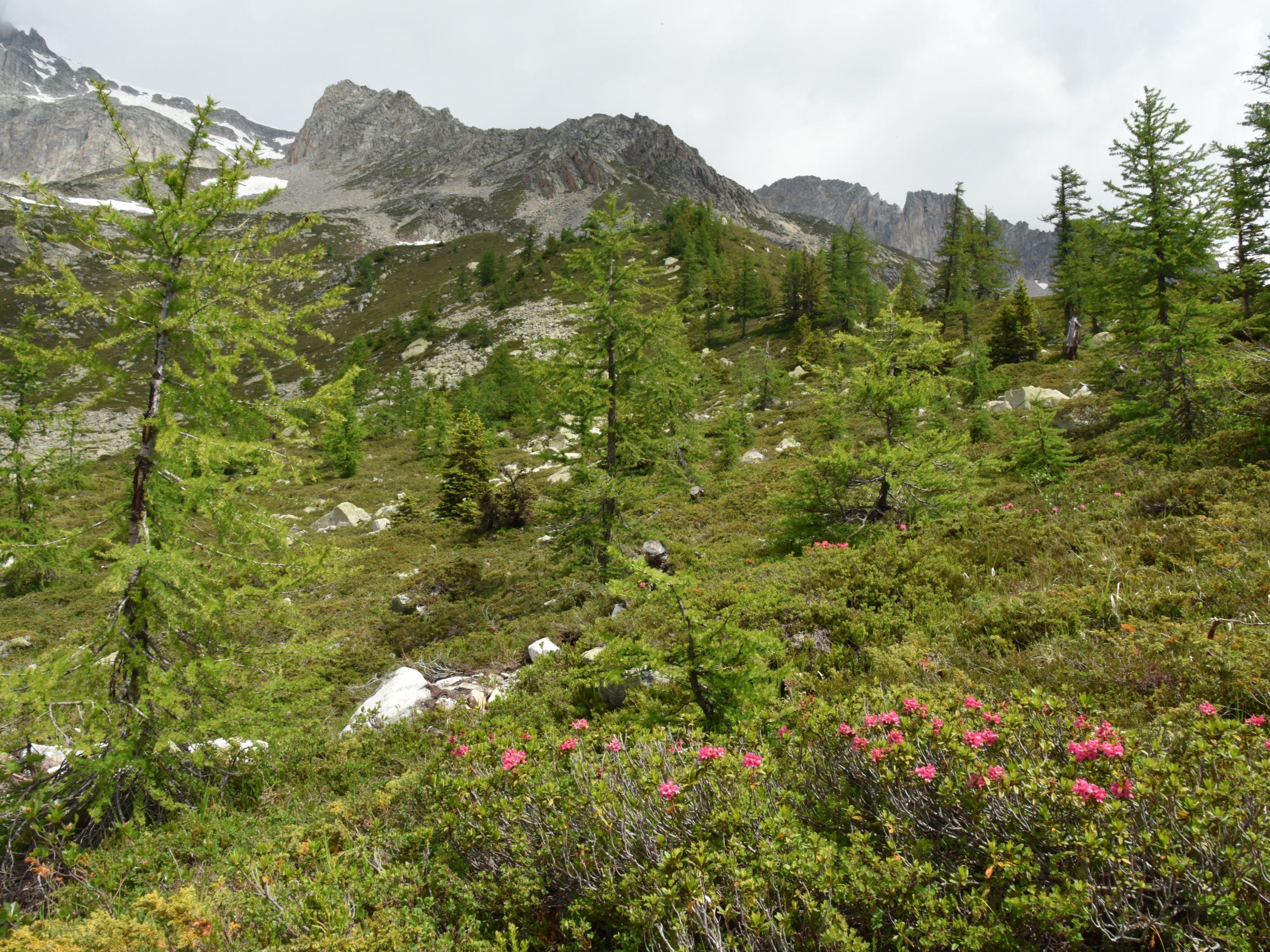 Image 9 - Capanna Piansecco