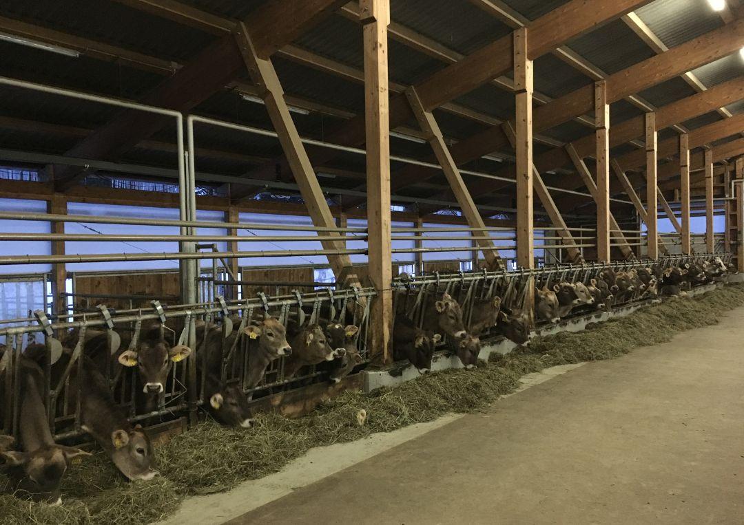 Image 6 - Azienda agricola Croce