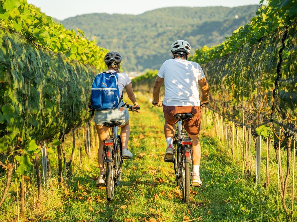 Image 1 - Bici e vino