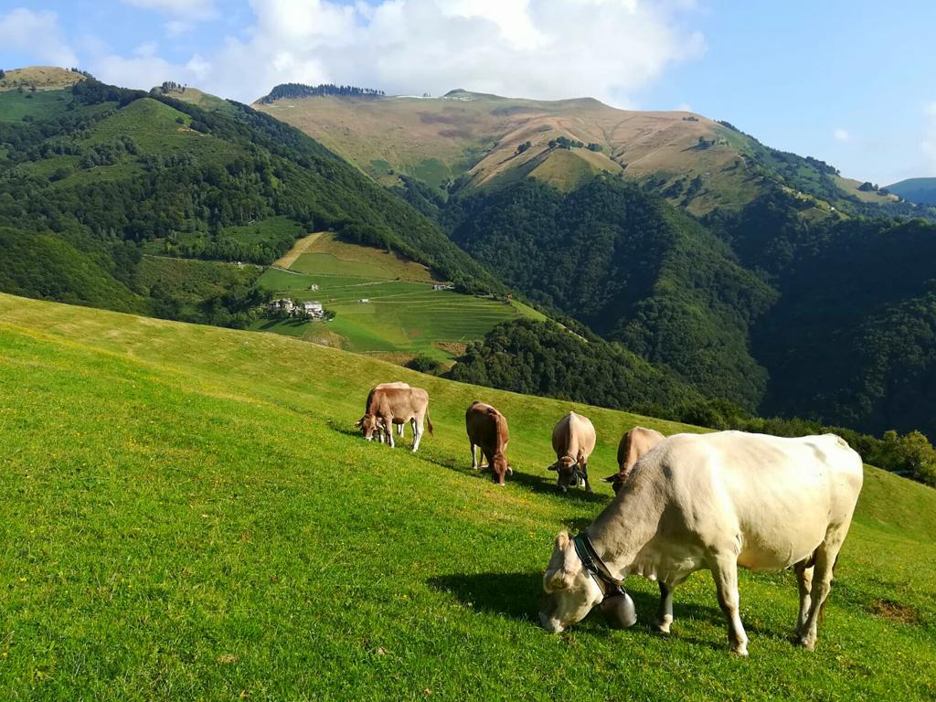 Image 4 - Agriturismo Dosso dell'Ora