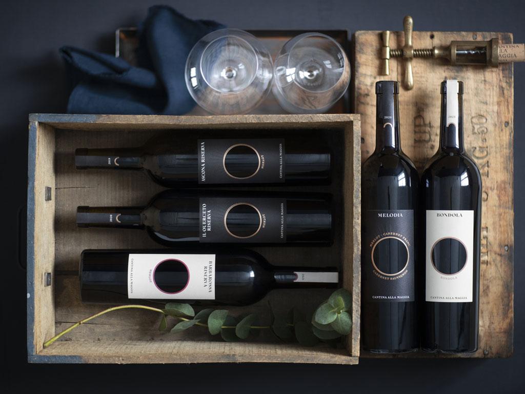 Image 5 - Cantina alla Maggia & Terreni alla Maggia