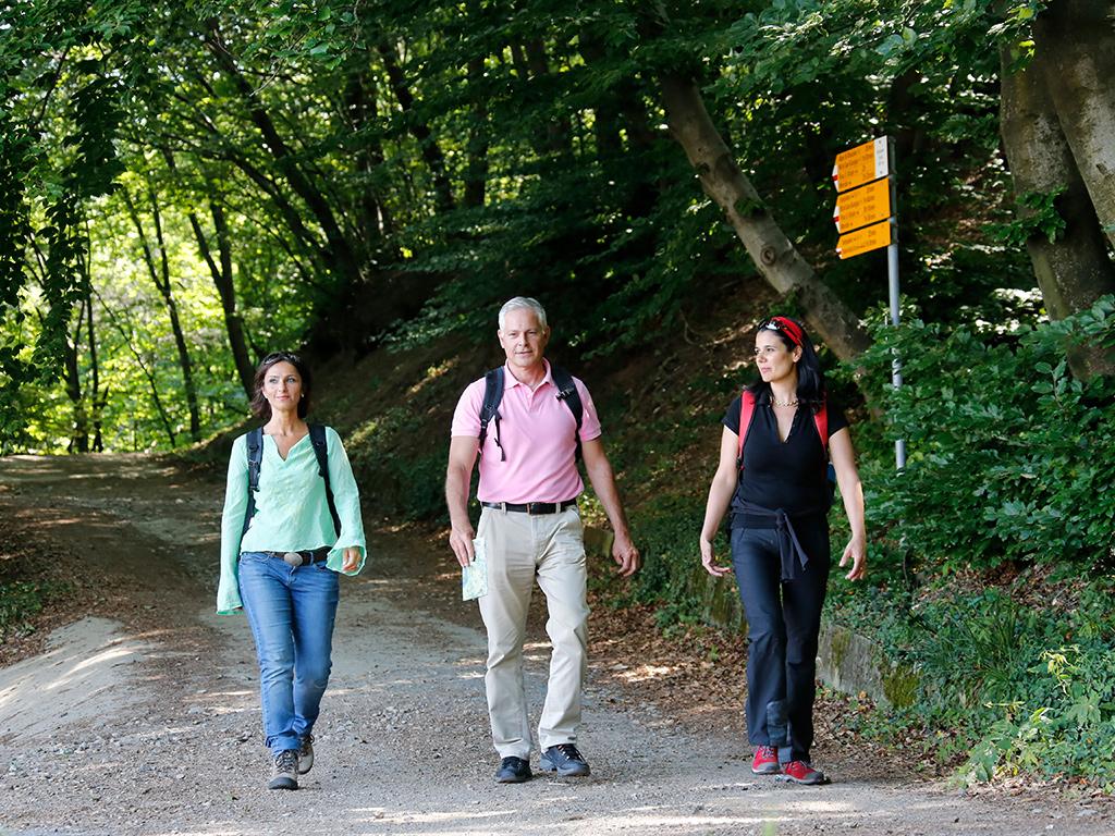 Image 6 - Vacanze a piedi: Via Gottardo, Bellinzona - Lugano