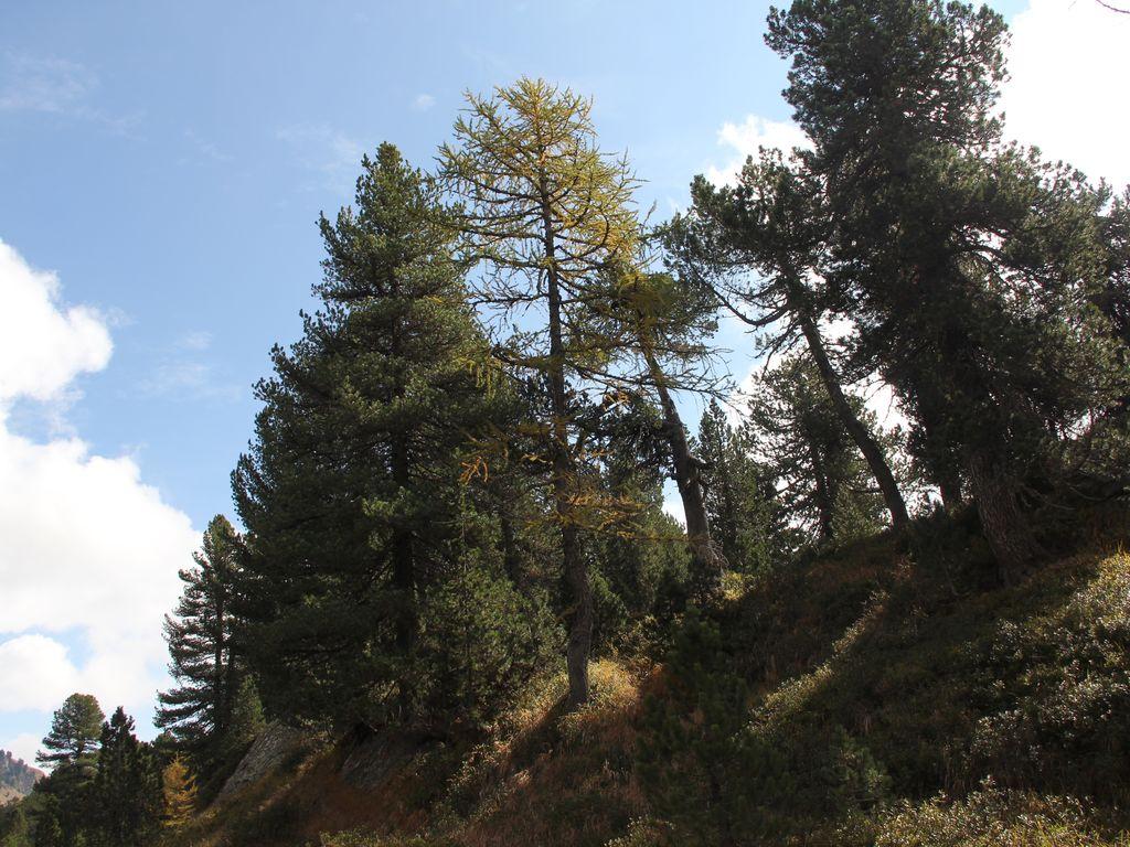 Image 6 - Réserve forestière Selvasecca