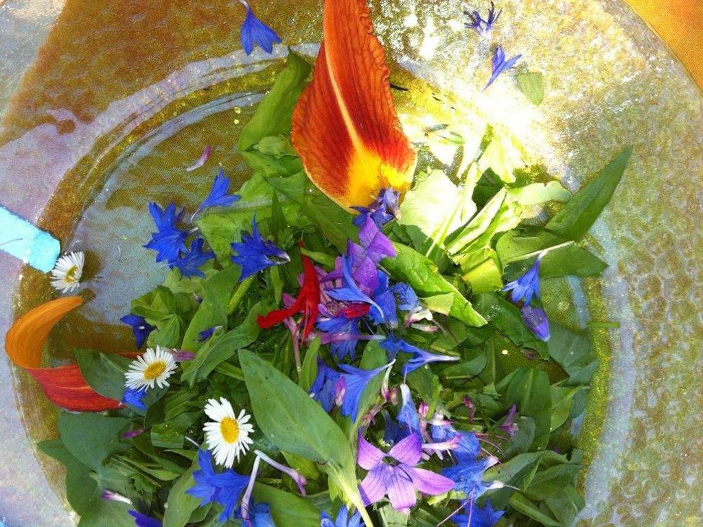 Image 1 - Wildkräuter kennenlernen