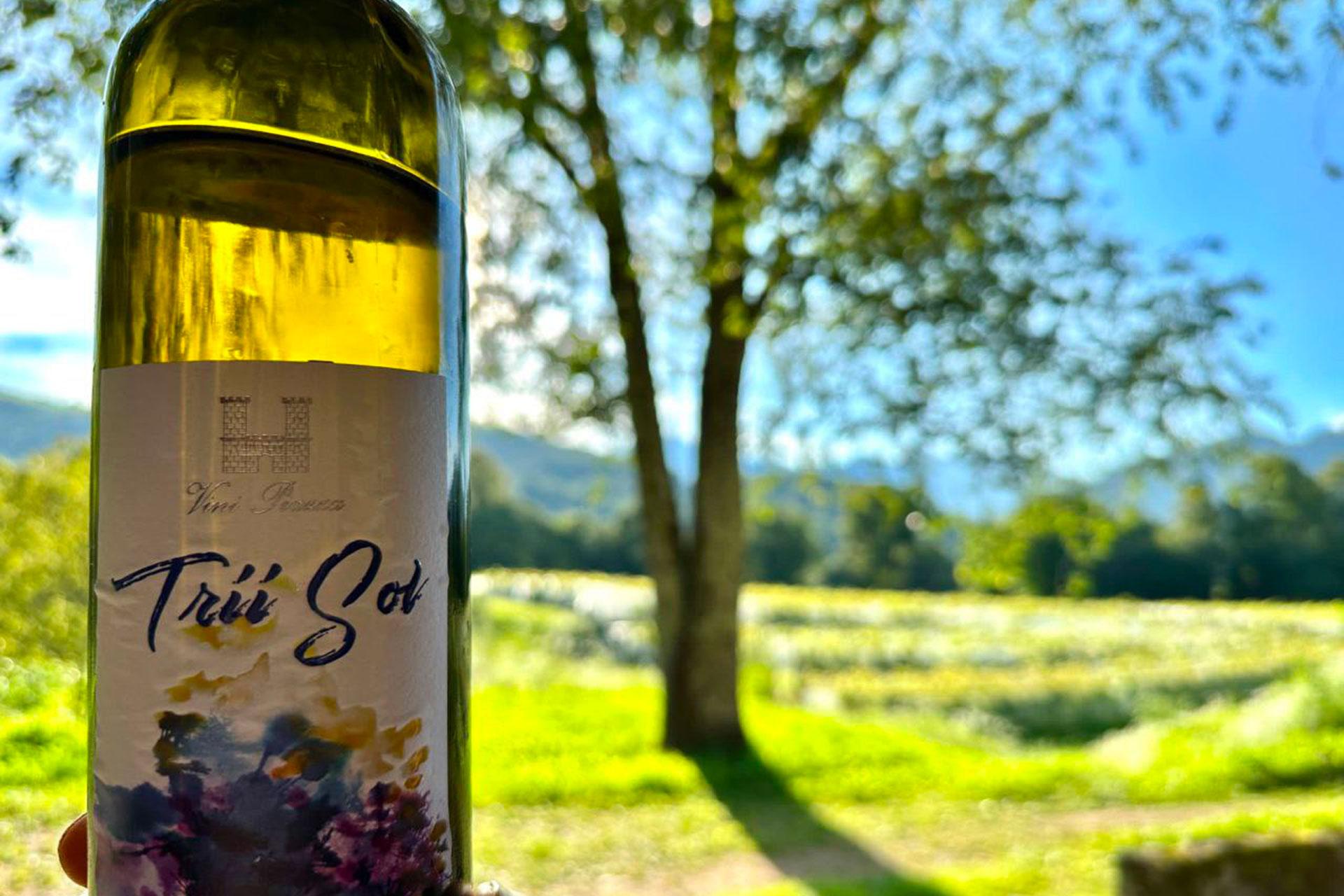 Image 1 - Vini Piazza