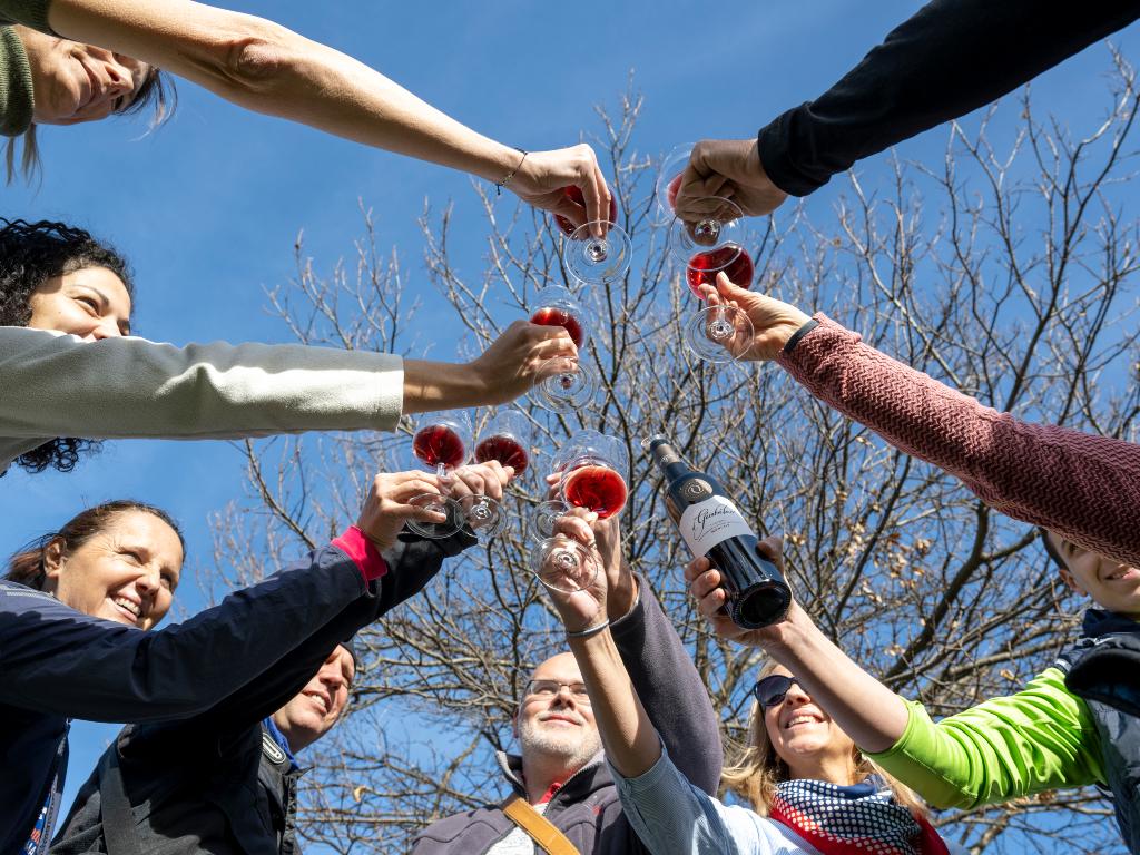 Image 5 - Agriesperienza - Cantina alla Maggia & Terreni alla Maggia