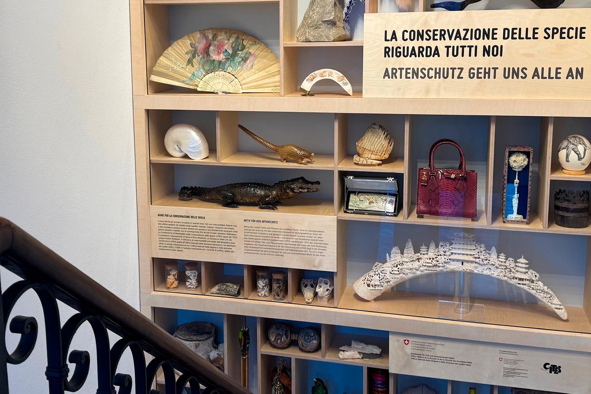 Image 7 - Musée suisse des douanes