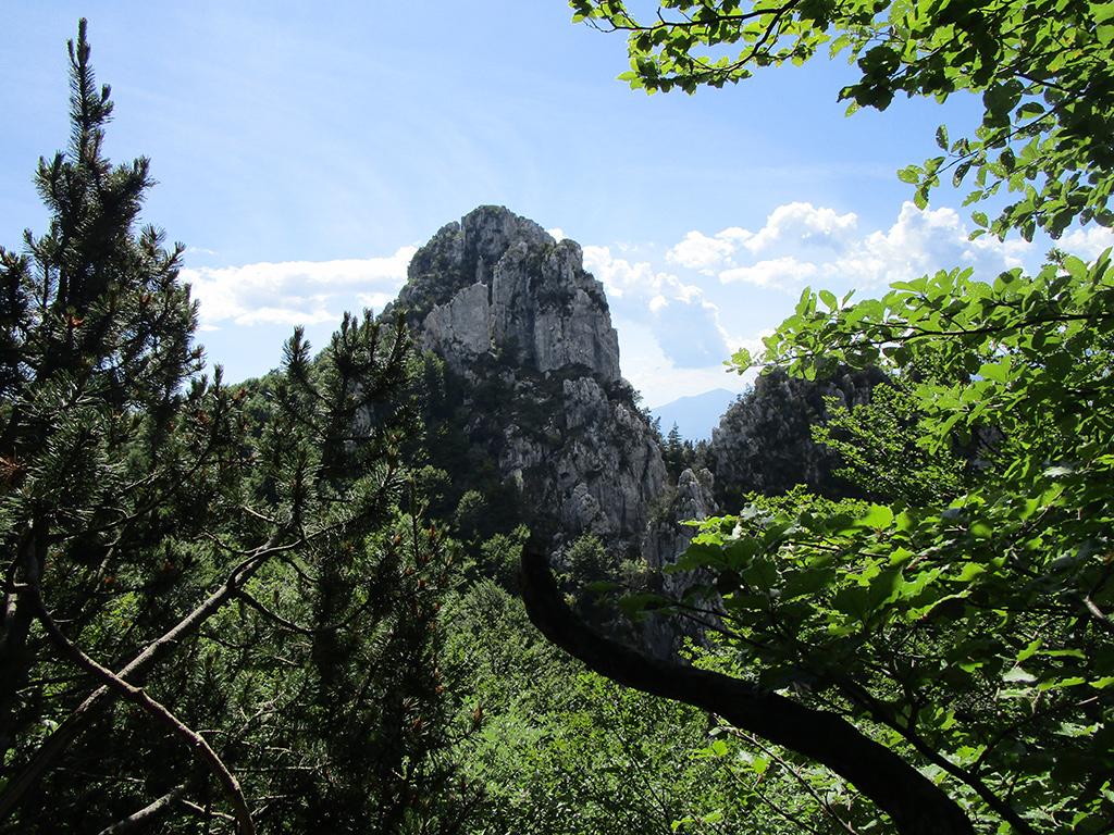 Image 8 - Riserva forestale dei Denti della Vecchia