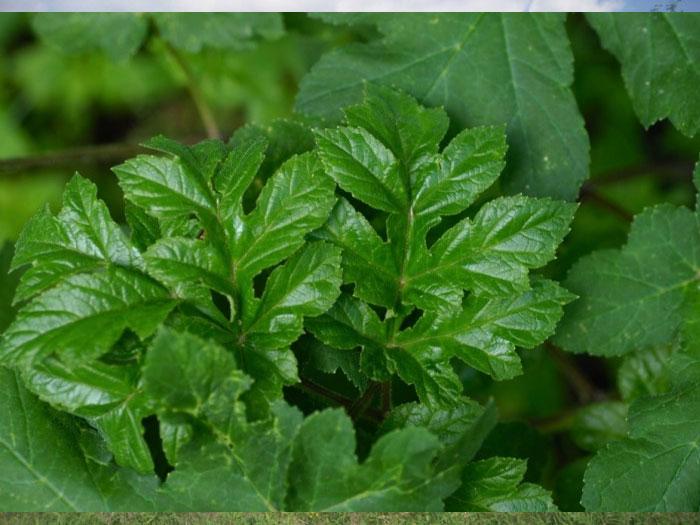 Image 1 - Geführte Besichtigung 