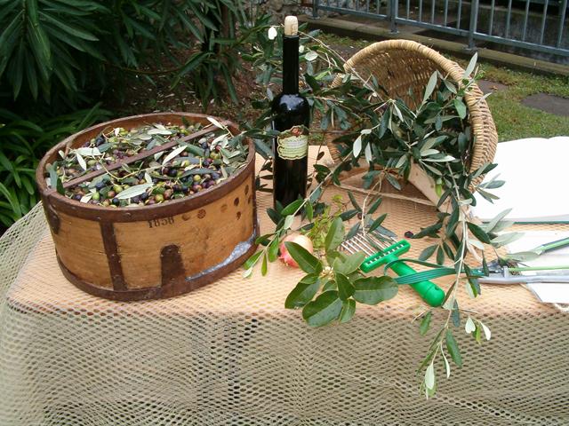 Image 3 - Parco degli ulivi