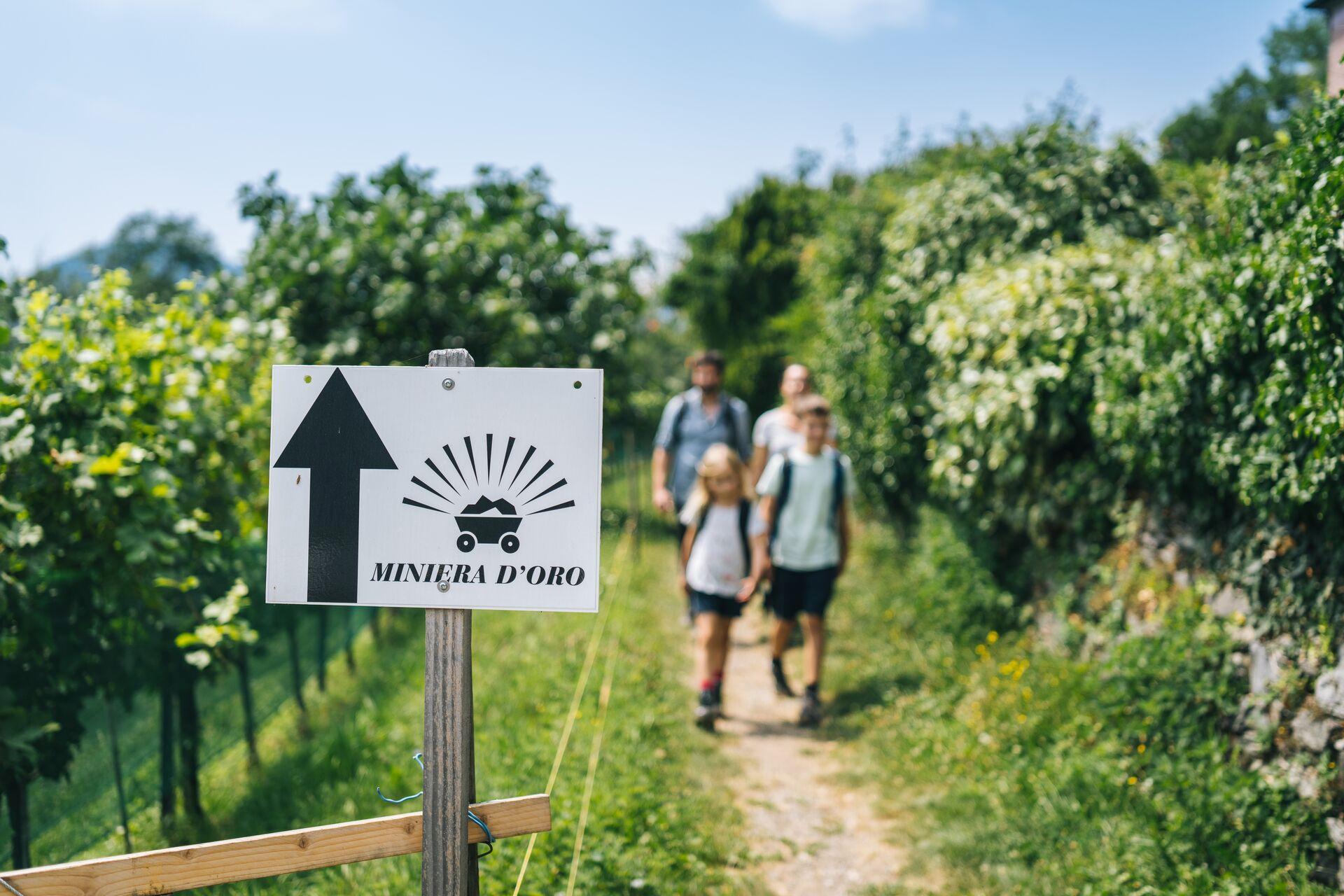 Image 1 - Sessa Goldmine