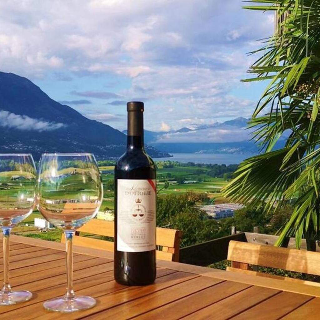 Image 0 - 4-Zi-WG Casa Sogno - Valle mit Kamin. Alleinlage im Rebberg!