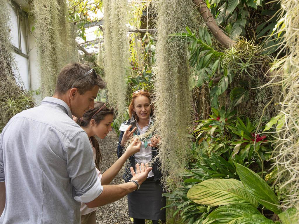 Image 1 - Isole di Brissago – Giardino Botanico