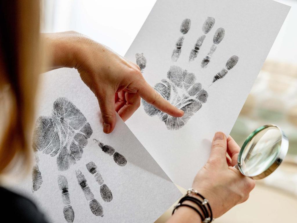 Image 1 - Handanalyse mit Federica