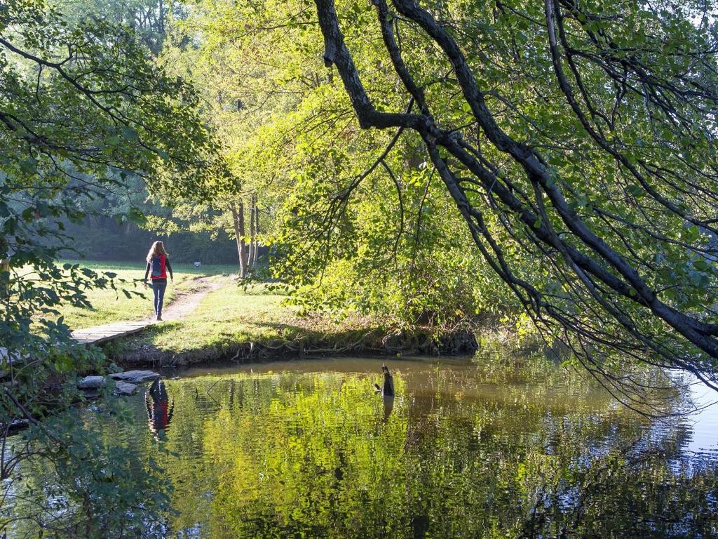 Image 1 - Laghetto di Origlio