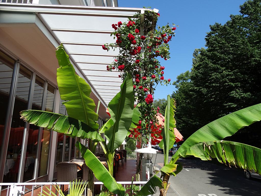 Image 2 - Excelsior Hotel B&B