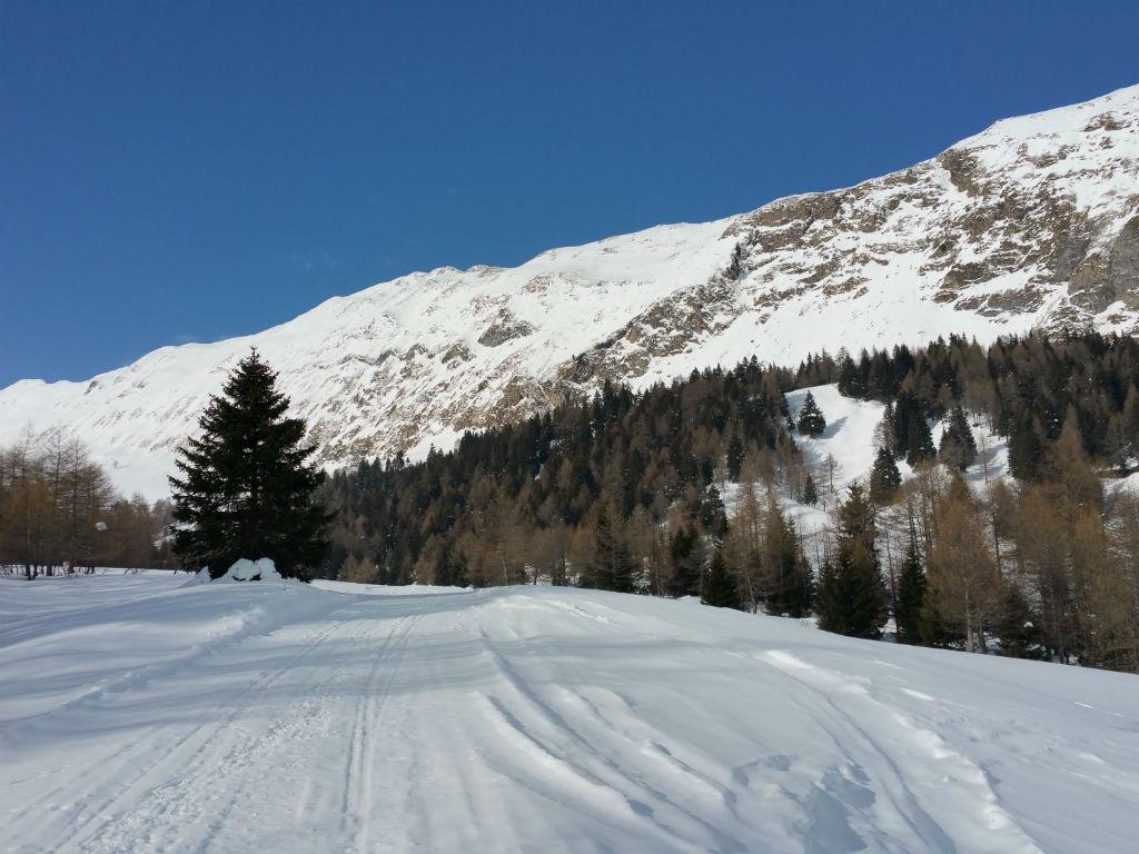 Image 4 - Promenade en traîneau avec motoneige