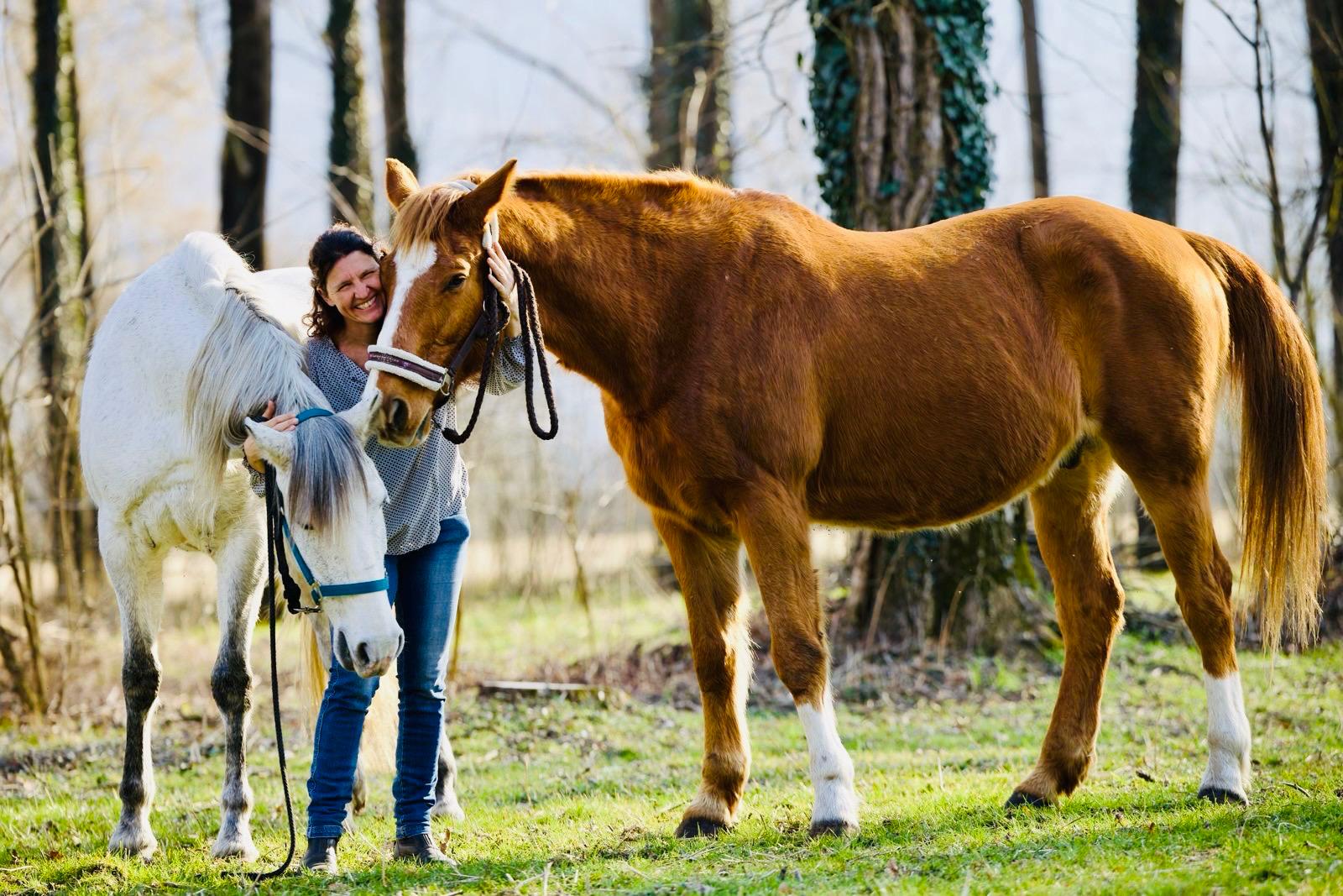 Image 3 - Group outdoor training: be inspired by the horse’s sensitive power