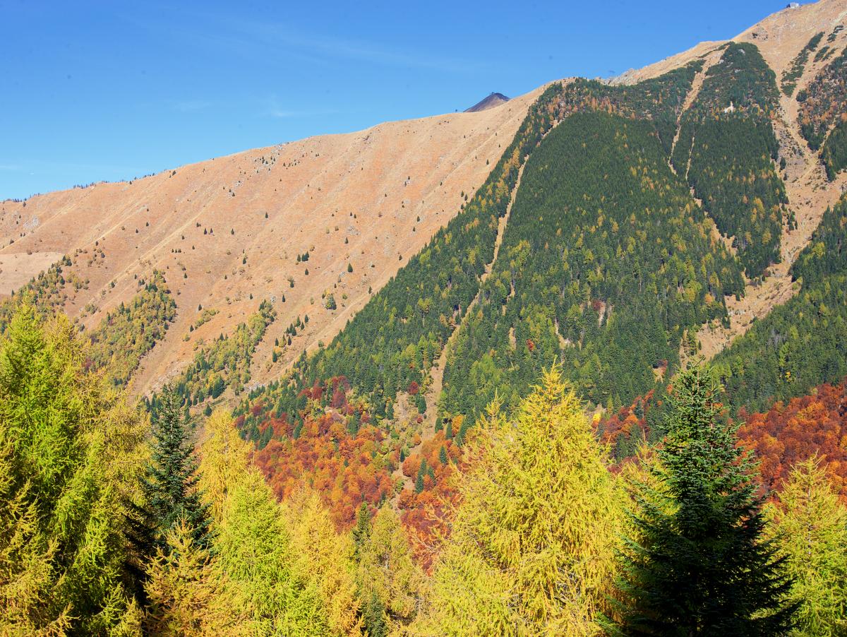 Image 1 - Giggio Protected Woodland