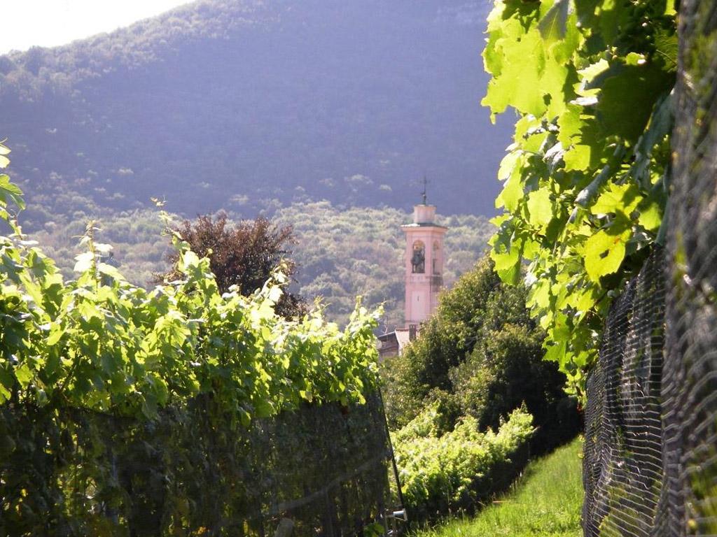 Image 0 - Fumagalli SA