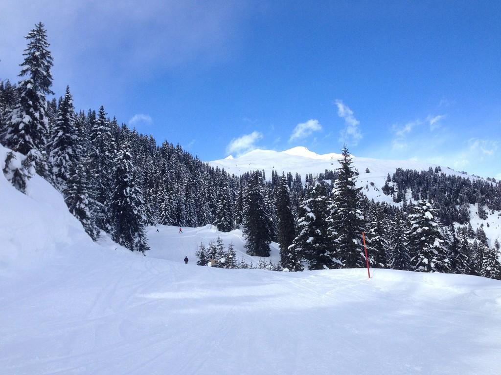 Image 8 - Ski resort Nara