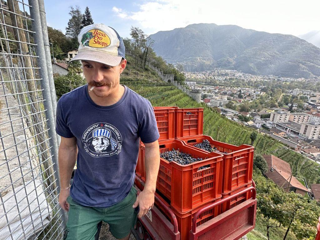 Image 5 - Cantina Cristini e Figli