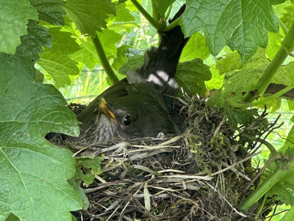 Image 4 - Cantina Cristini e Figli