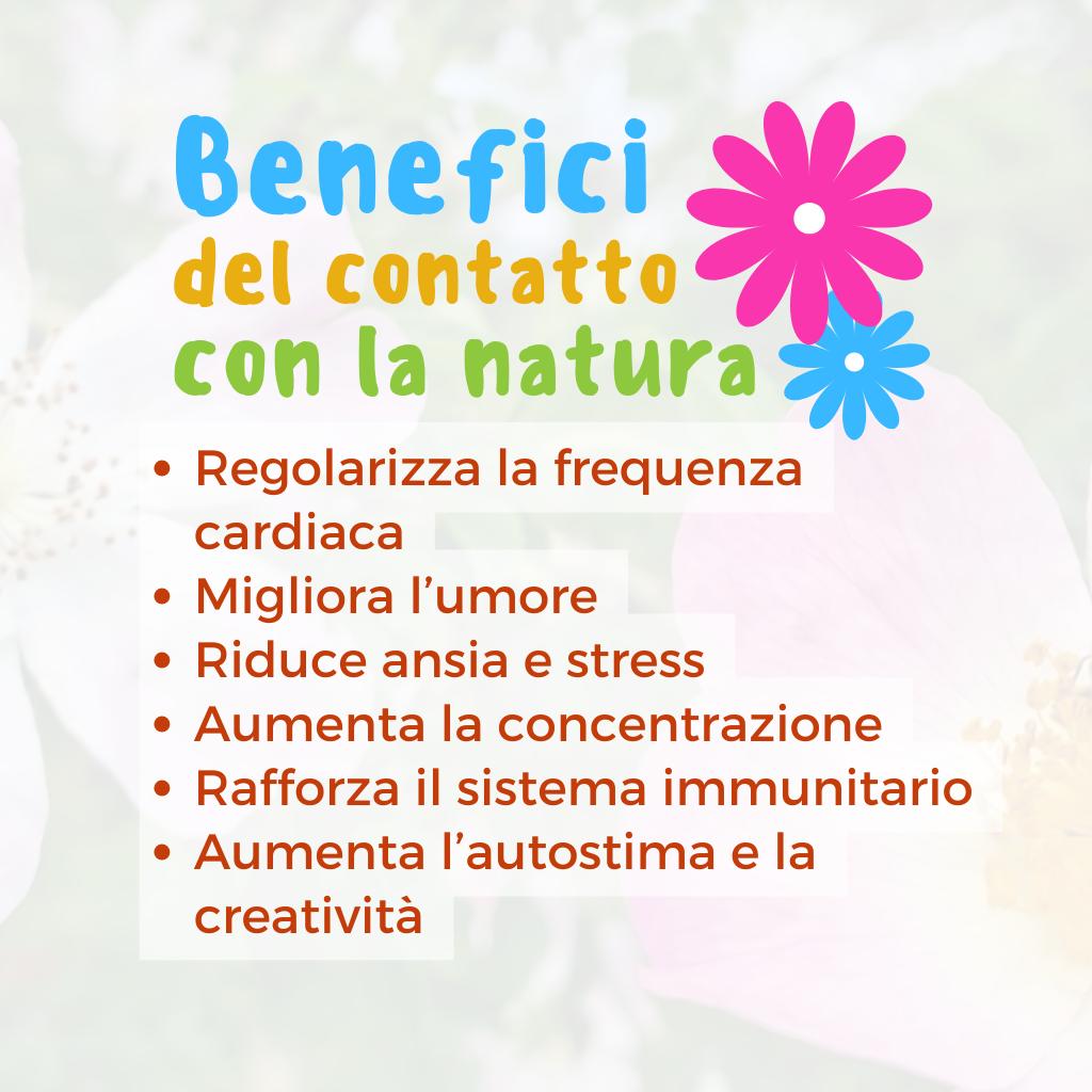 Image 0 - Garden Bathing experience to promote psycho-emotional balance