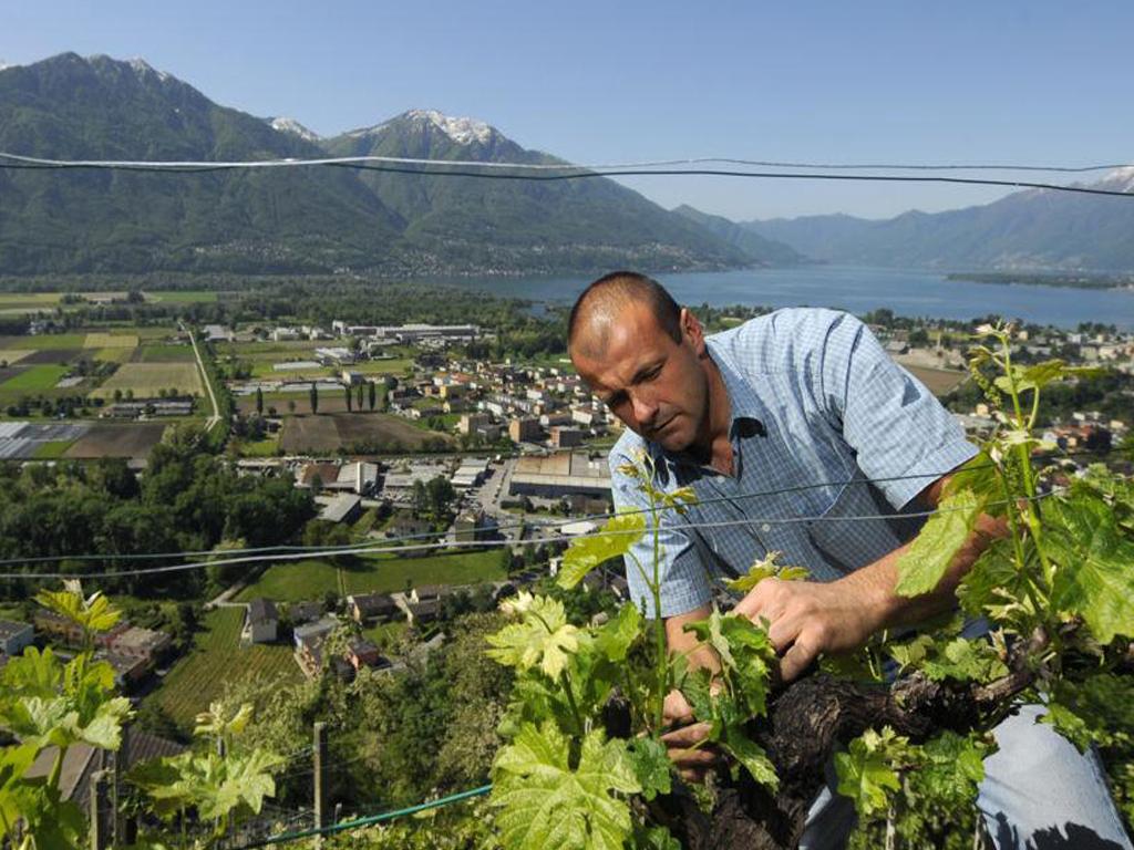 Image 2 - Cantina Carrara