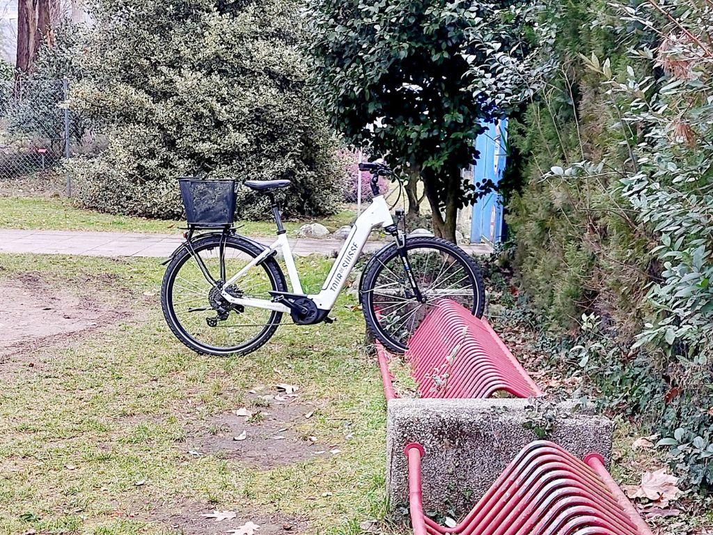 Image 2 - Camélias & lac en vélo électrique