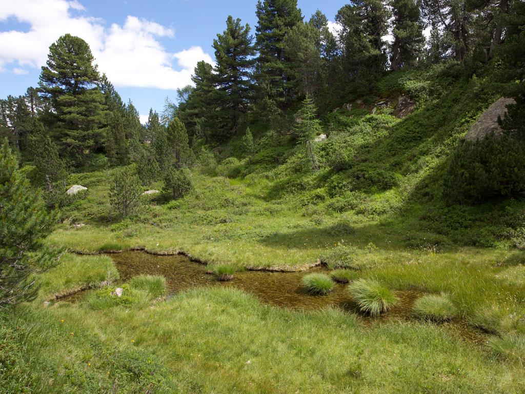 Image 3 - Naturetum - Centro Pro Natura Lucomagno