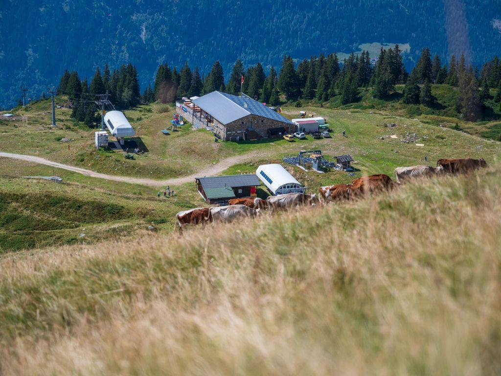 Image 1 - Sesselbahn Carì - Summer