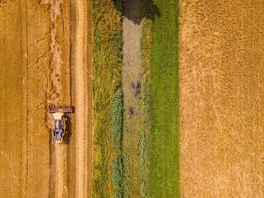 Image 5 - Corsi e Degustazioni alla Malteria Ticinese