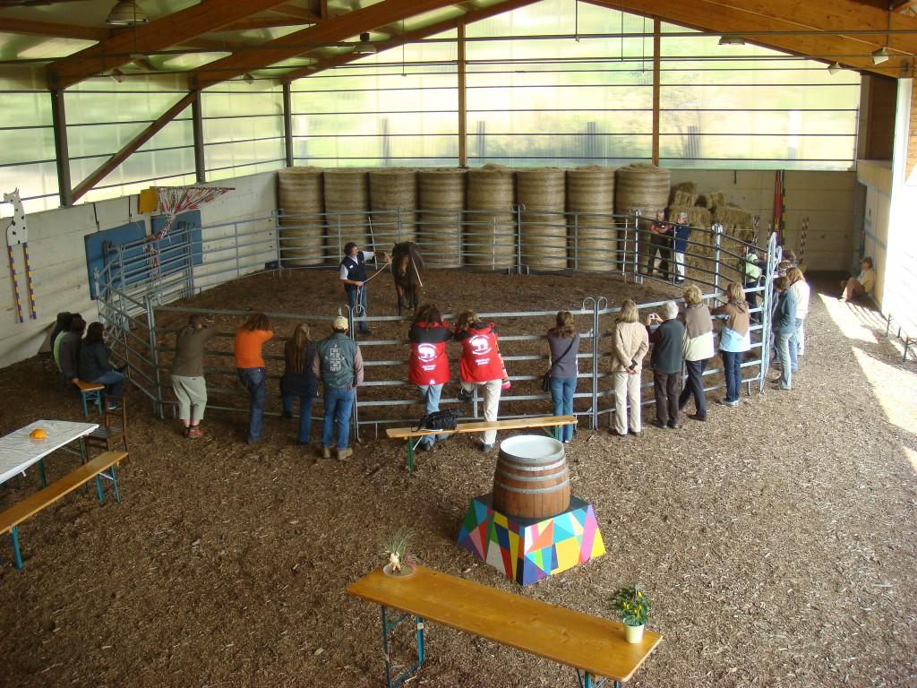 Image 5 - Ostello Centro Terapeutico La Fattoria