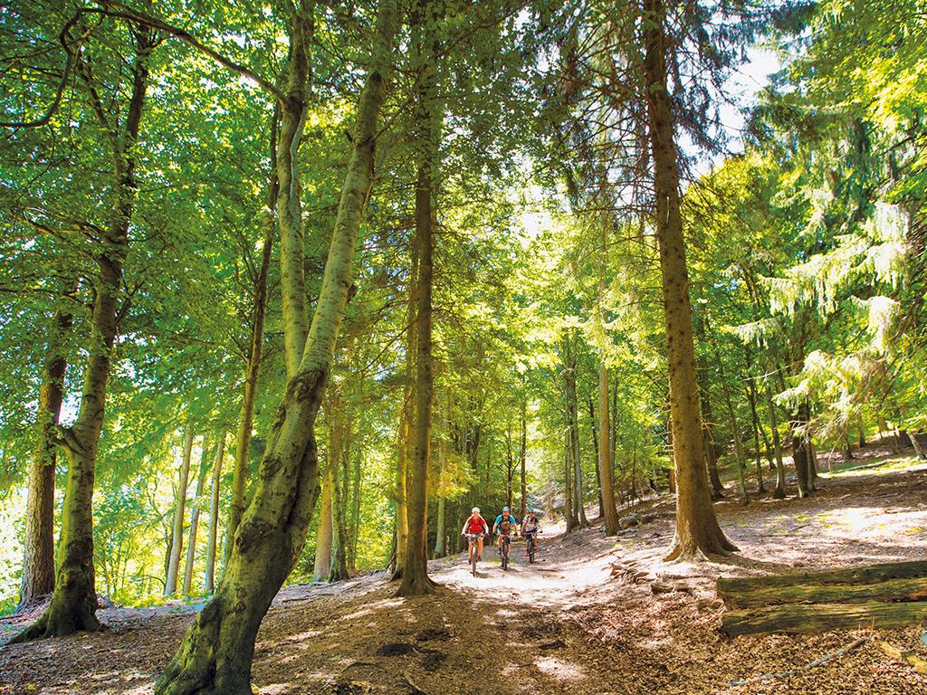 Image 3 - Vacances à VTT: Lugano Bike