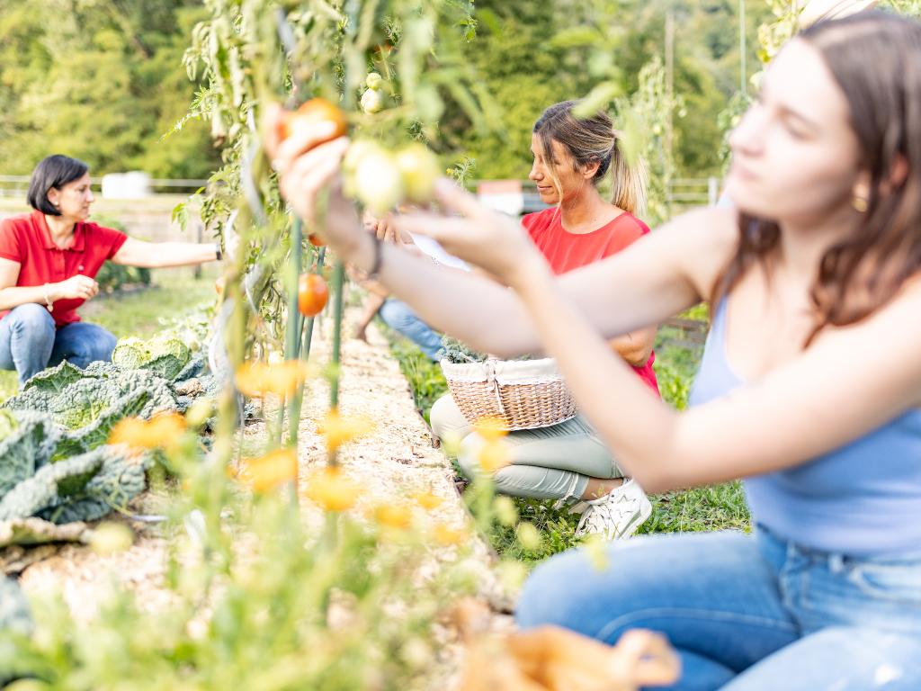 Image 3 - Ortoterapia