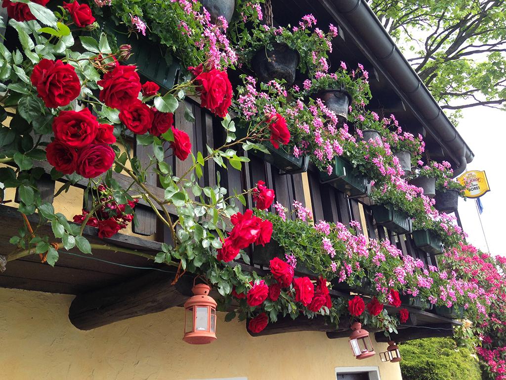 Image 1 - Grotto Borei