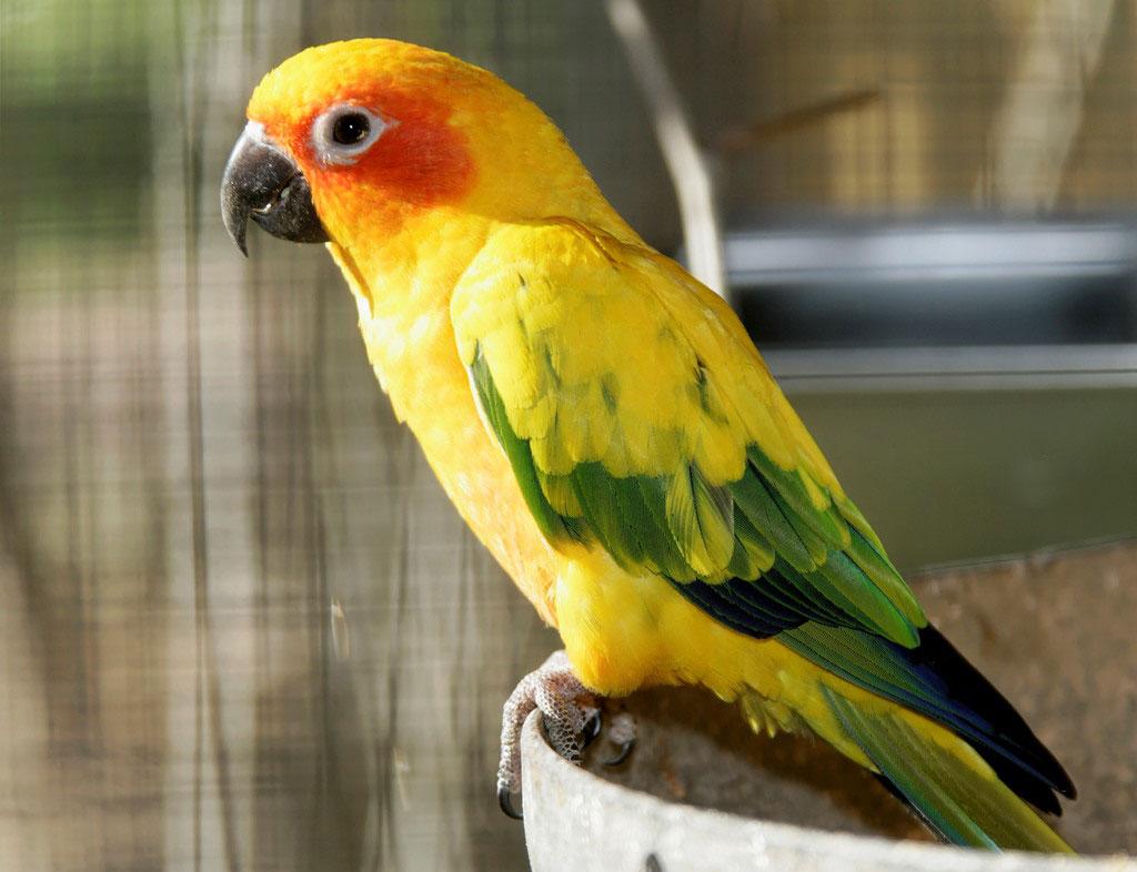 Image 5 - Zoo Al Maglio