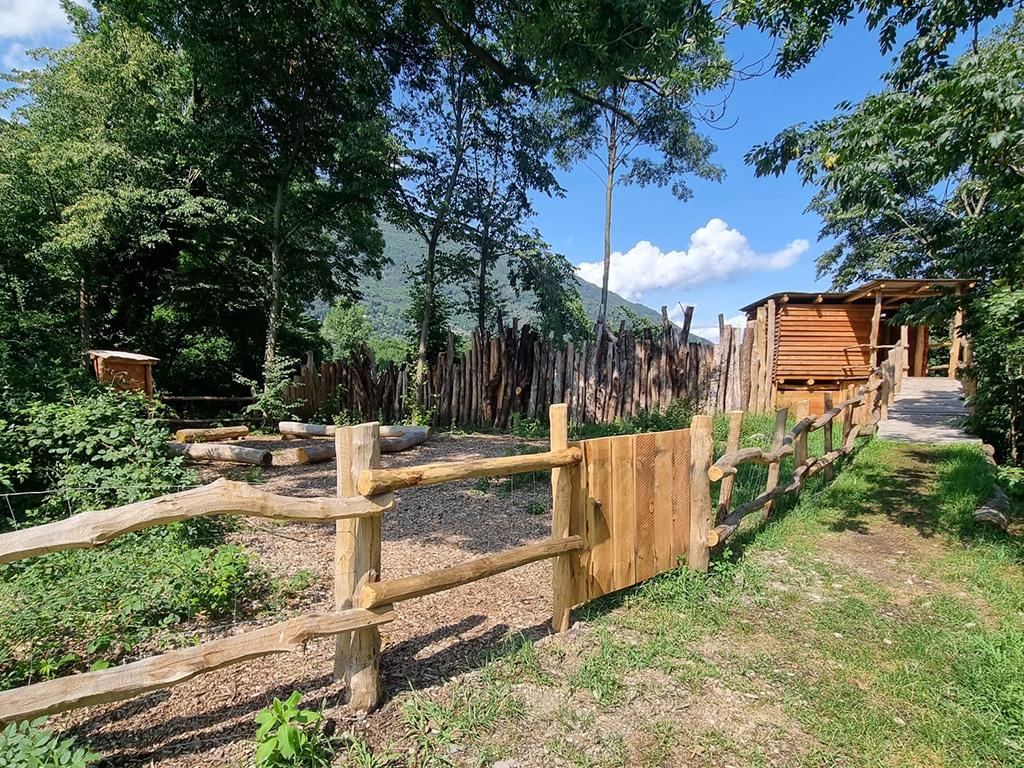 Image 4 - Piano di Magadino Park