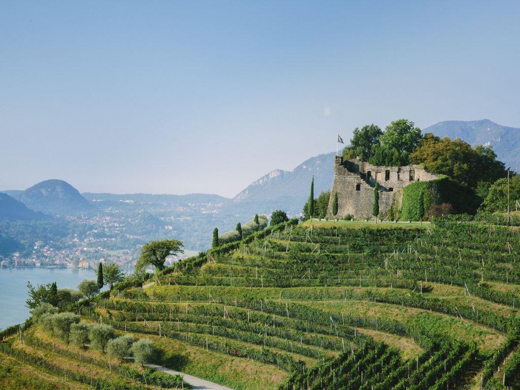 Image 6 - Tenuta Castello di Morcote