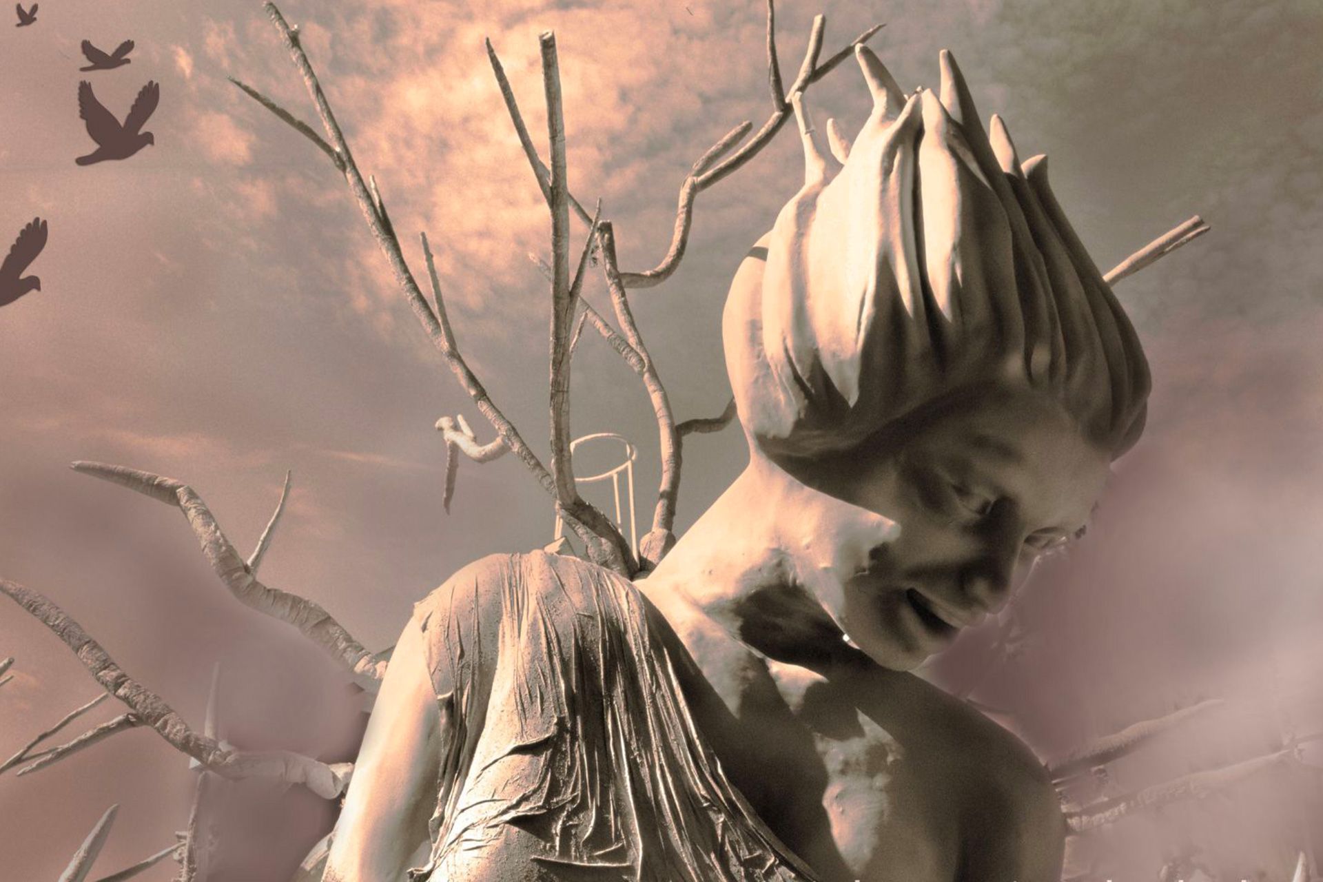 Carousel image 0