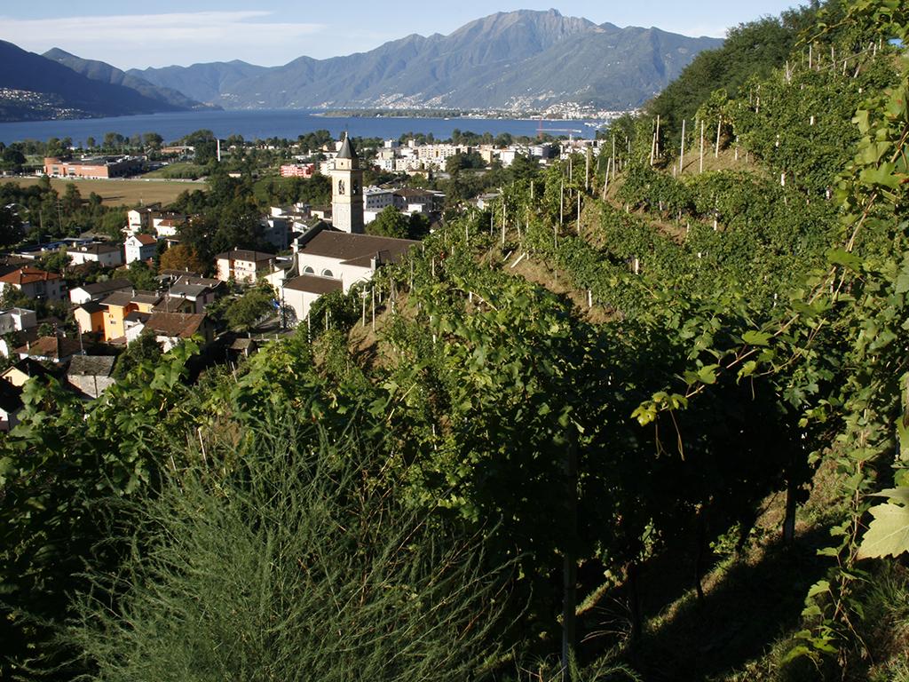 Image 8 - Weinkeller “La Segrisola”