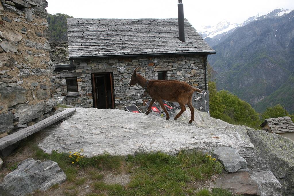 Image 11 - Agriturismo Scinghiöra