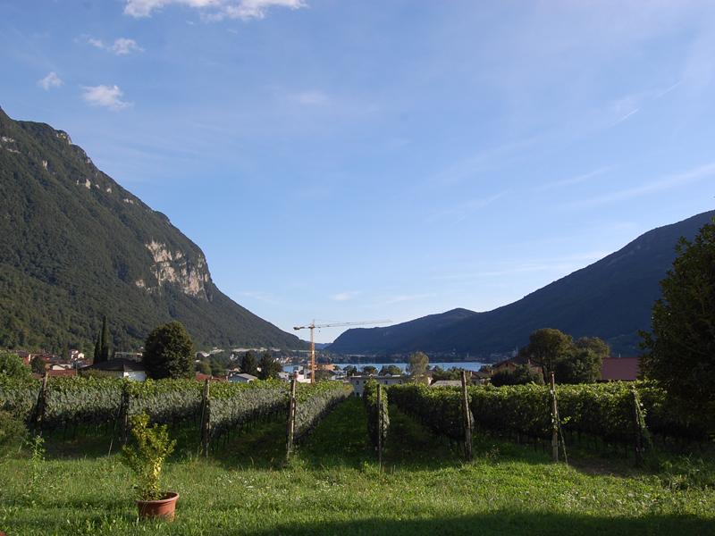 Image 8 - Il Vigneto - B&B