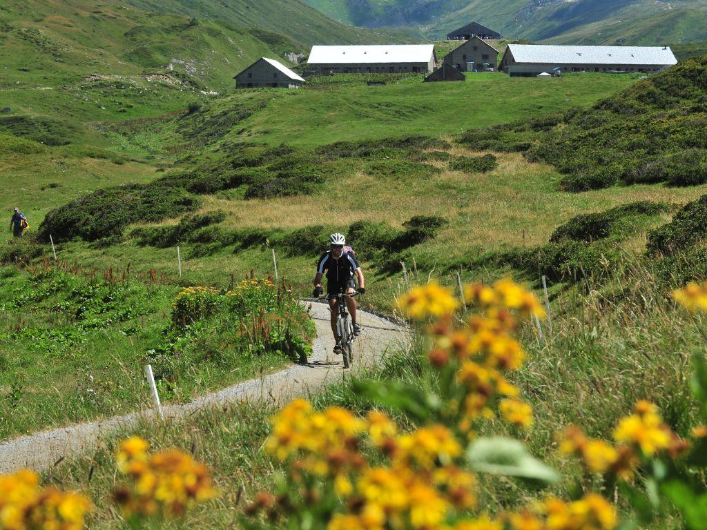 Image 4 - Camping Gottardo