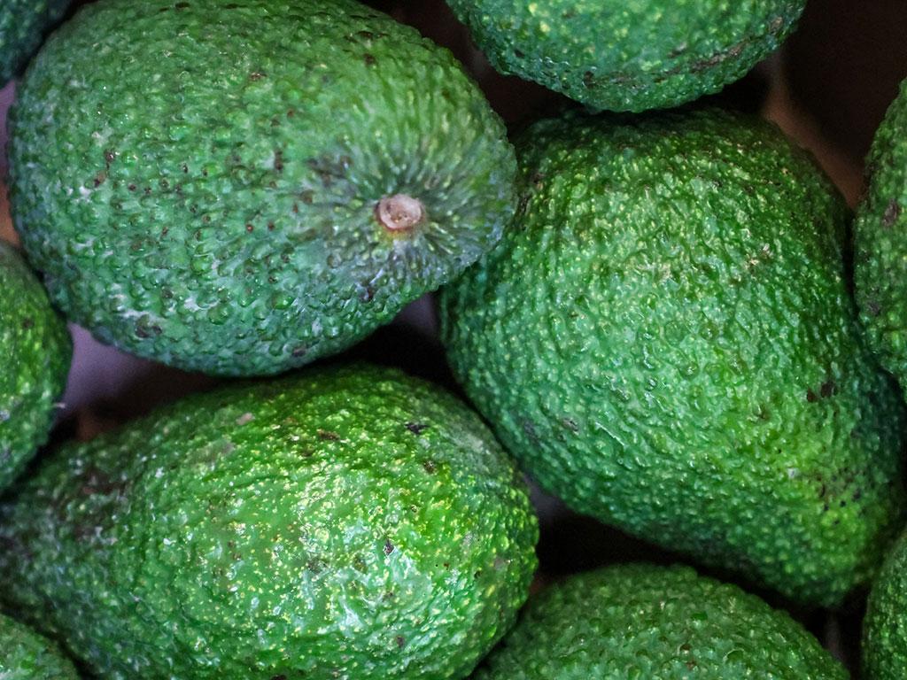 Image 1 - Biosfera Locarno