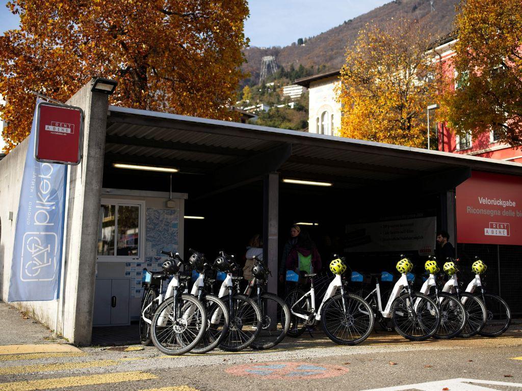 Image 5 - Camélias & lac en vélo électrique