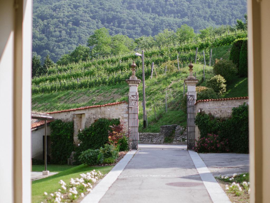 Image 1 - Villa Turconi