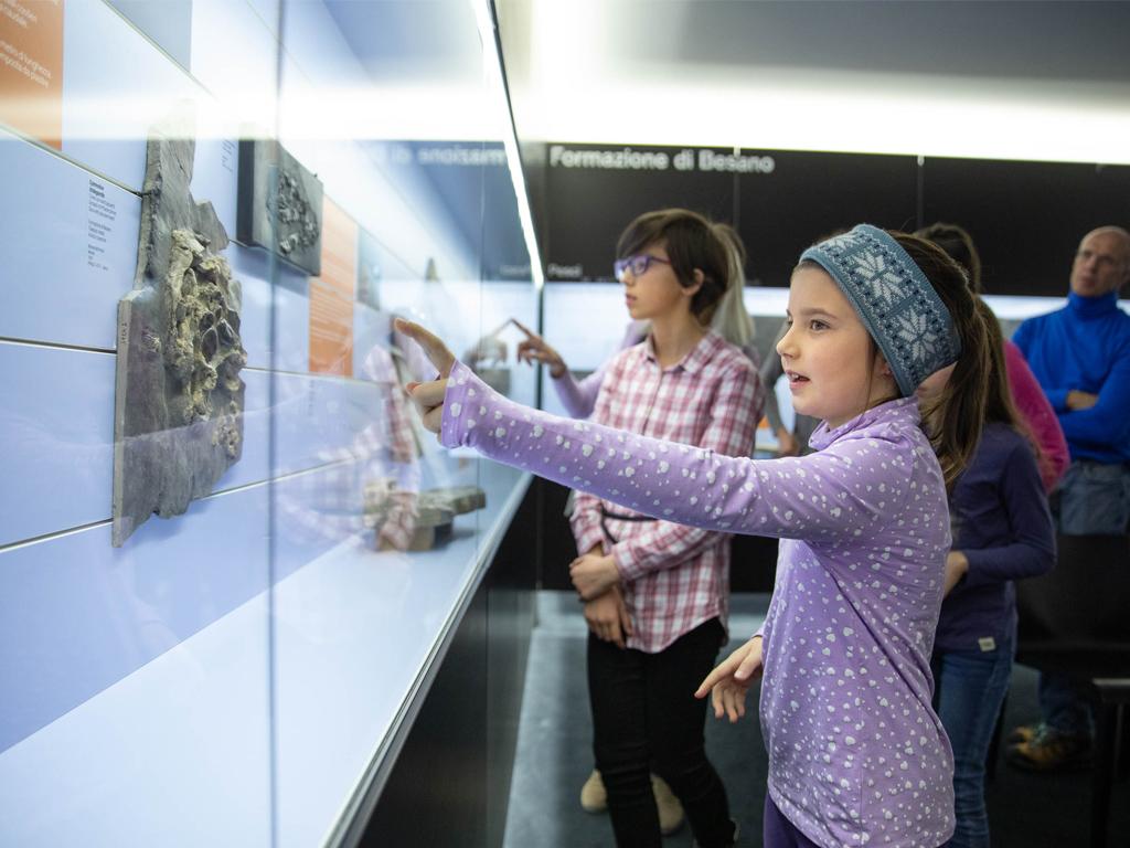 Image 5 - Fossilienmuseum Monte San Giorgio